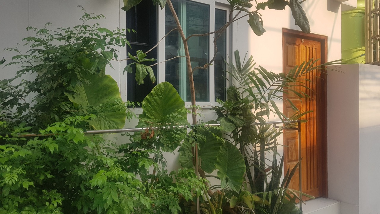 Photo of Outdoor in Chom Phon