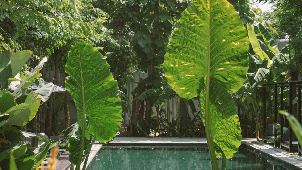 Photo of Outdoor in Sen Sok