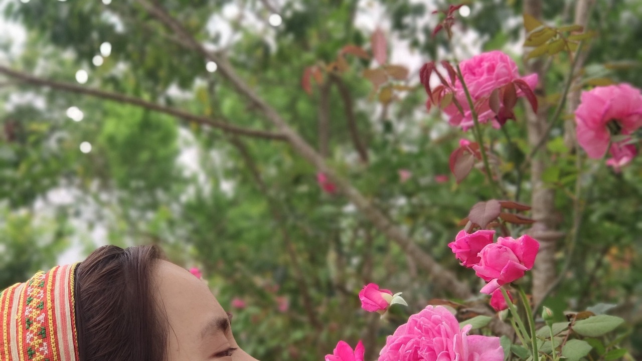Photo of Outdoor in Sa Pa