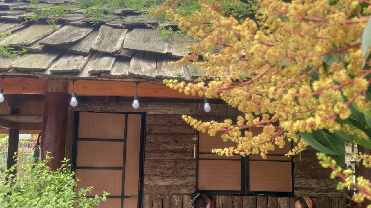 Photo of Outdoor in Sa Pa