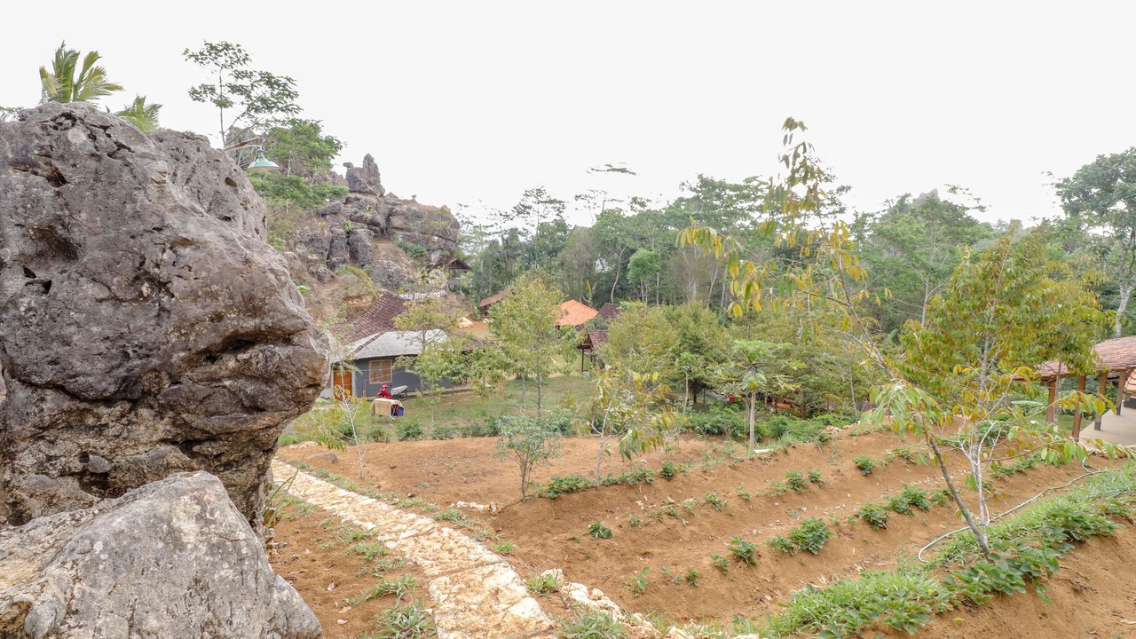 Photo of Outdoor in Kulon Progo