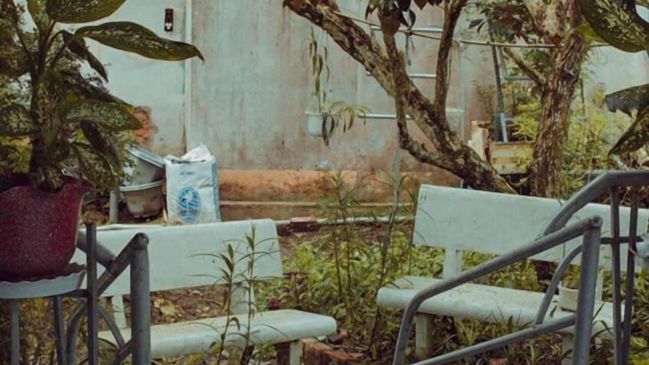Photo of Outdoor in Cai Be