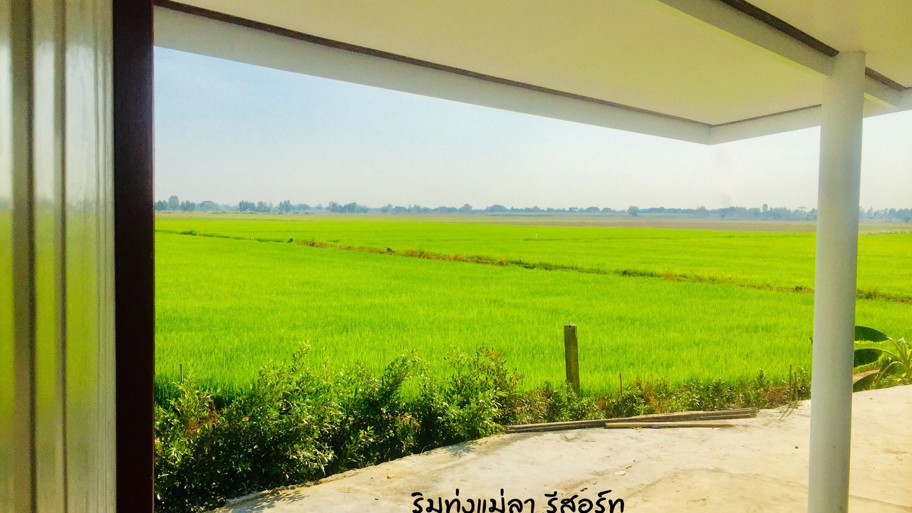 Photo of Others in Bang Rachan