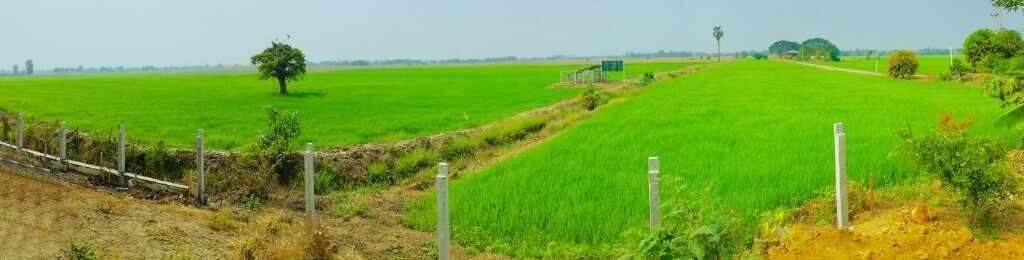 Photo of Outdoor in Bang Rachan