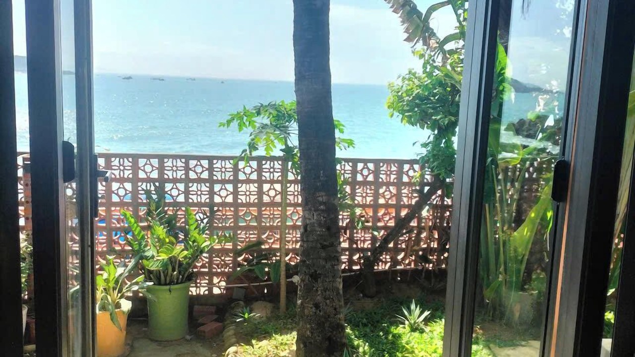 Photo of Others in Quy Nhon
