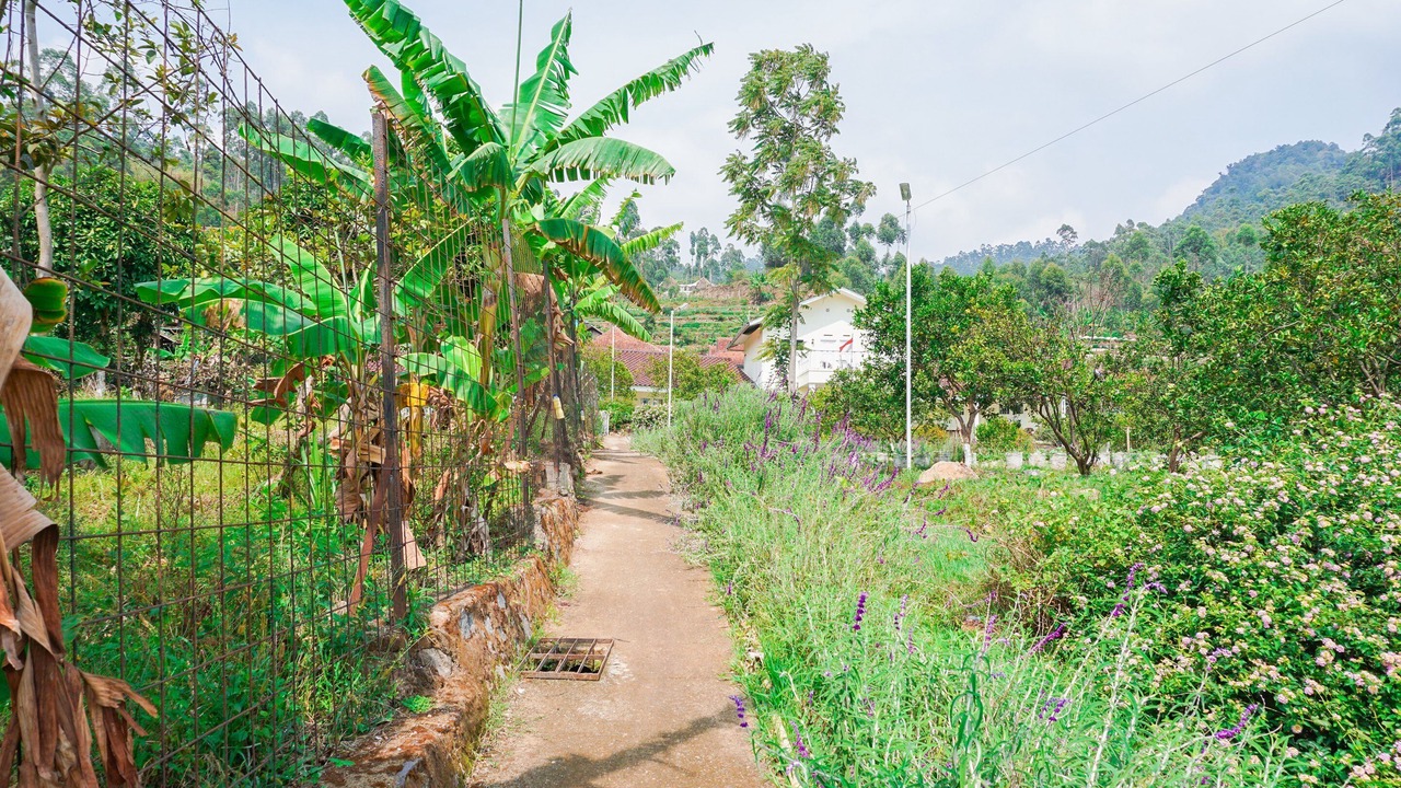 Photo of Outdoor in Ciwidey