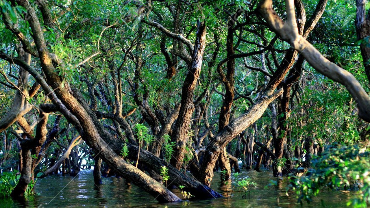 Photo of Outdoor in Puok
