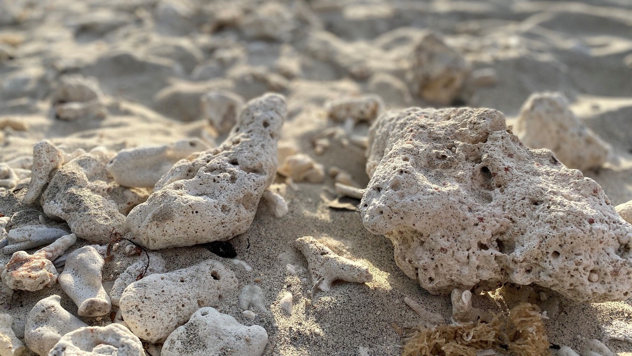 Photo of Others in Gili Trawangan