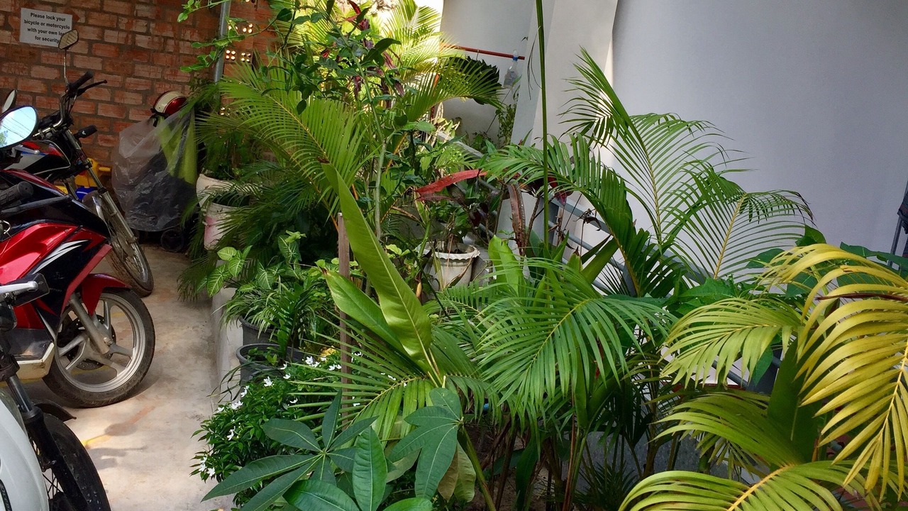 Photo of Outdoor in Sihanoukville City Centre