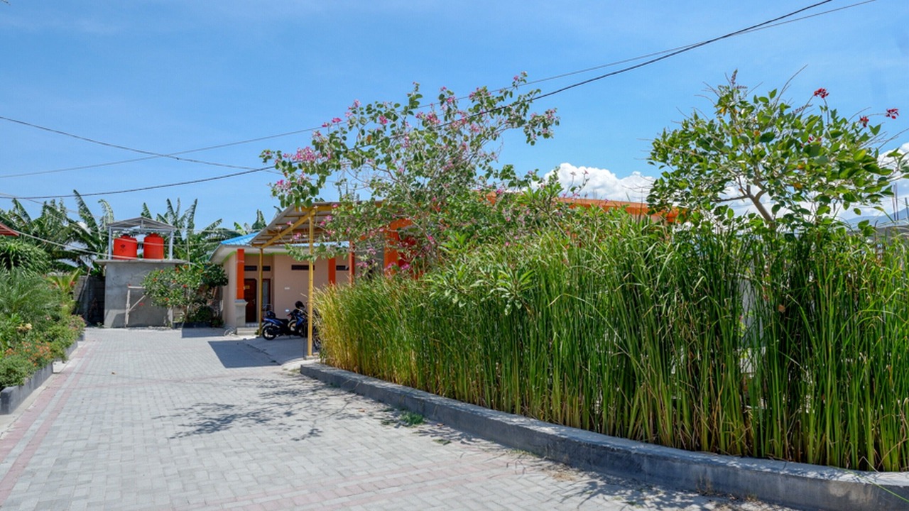 Photo of Outdoor in Palu