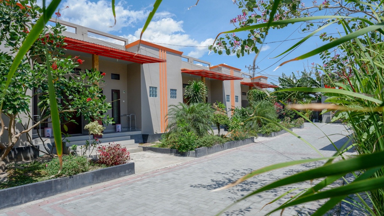 Photo of Outdoor in Palu