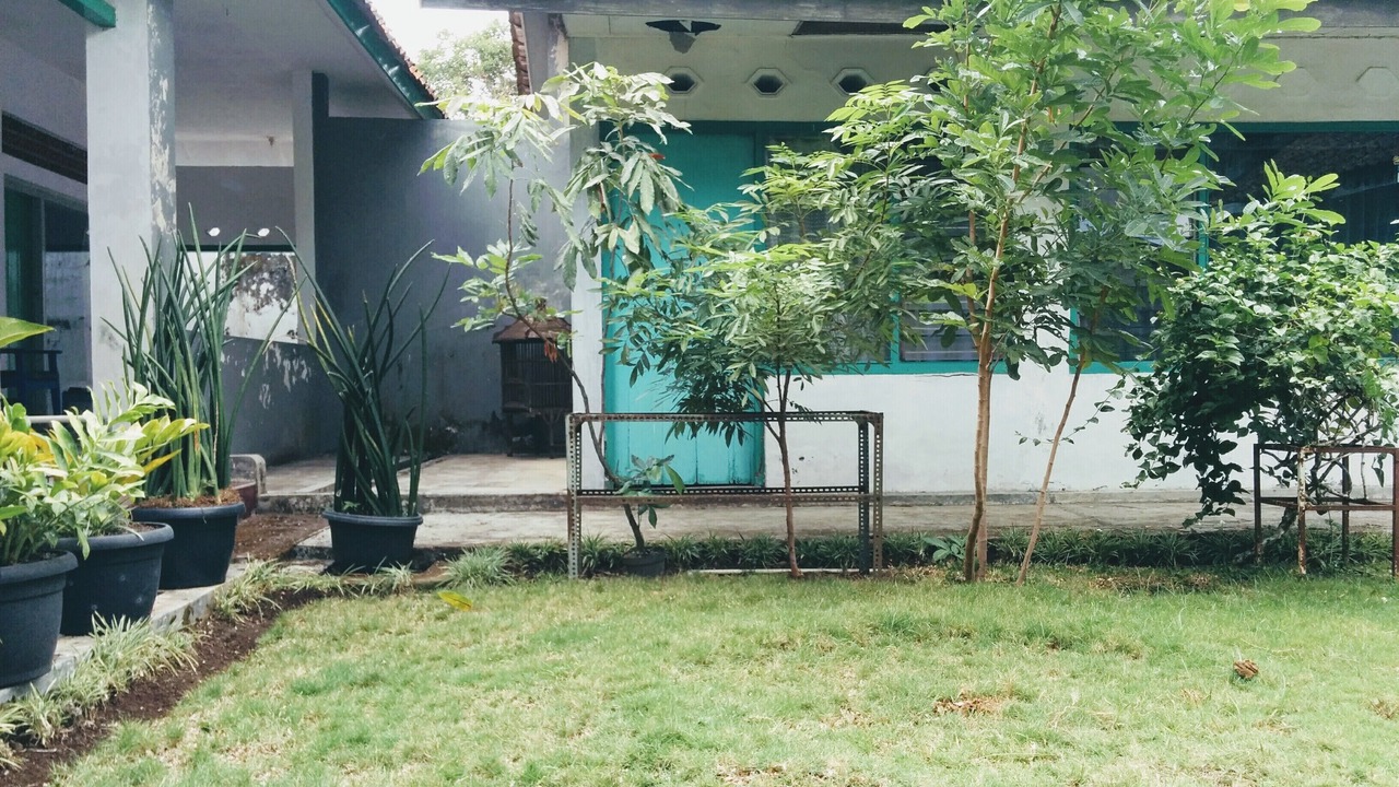 Photo of Outdoor in Purwokerto