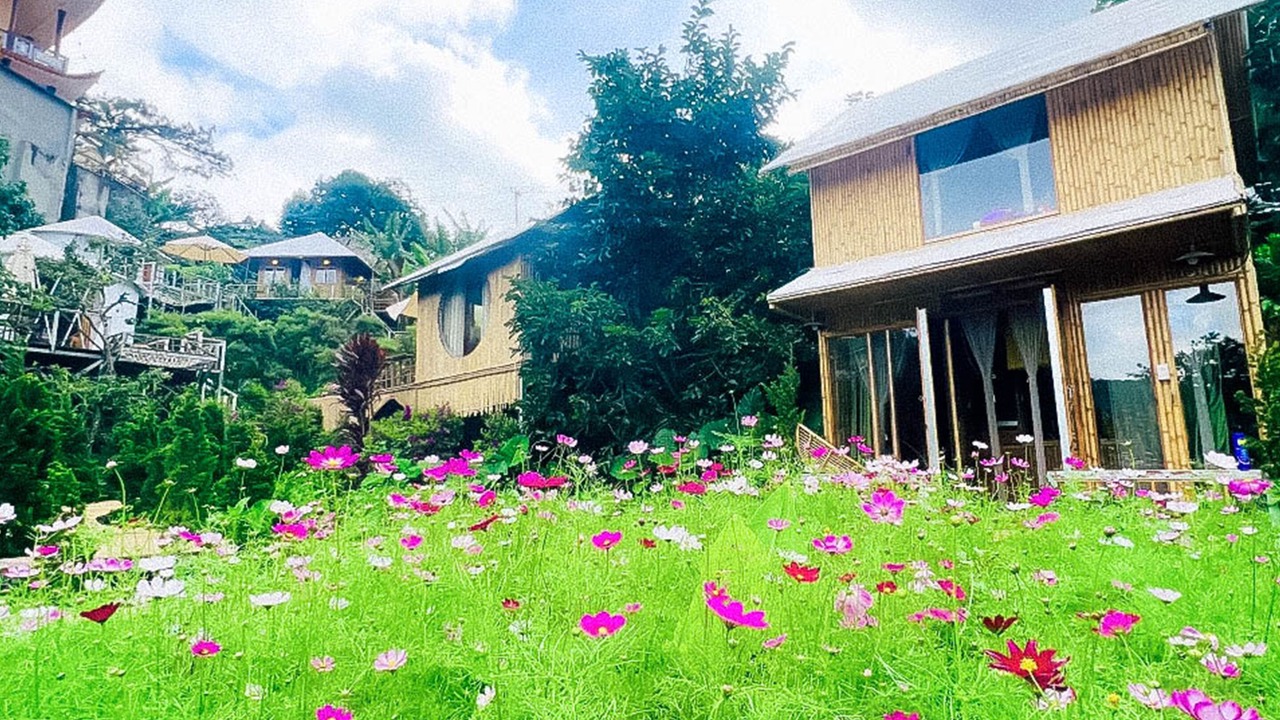 Photo of Outdoor in Phuong 10