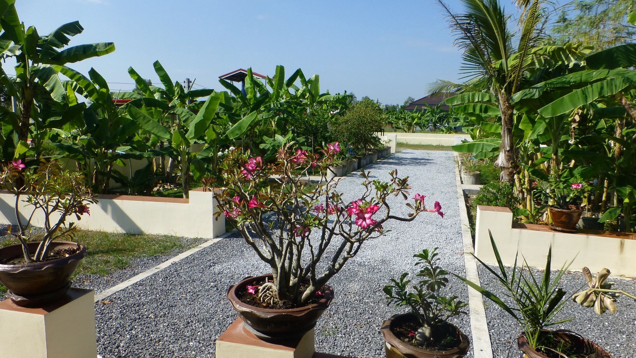 Photo of Outdoor in Phen