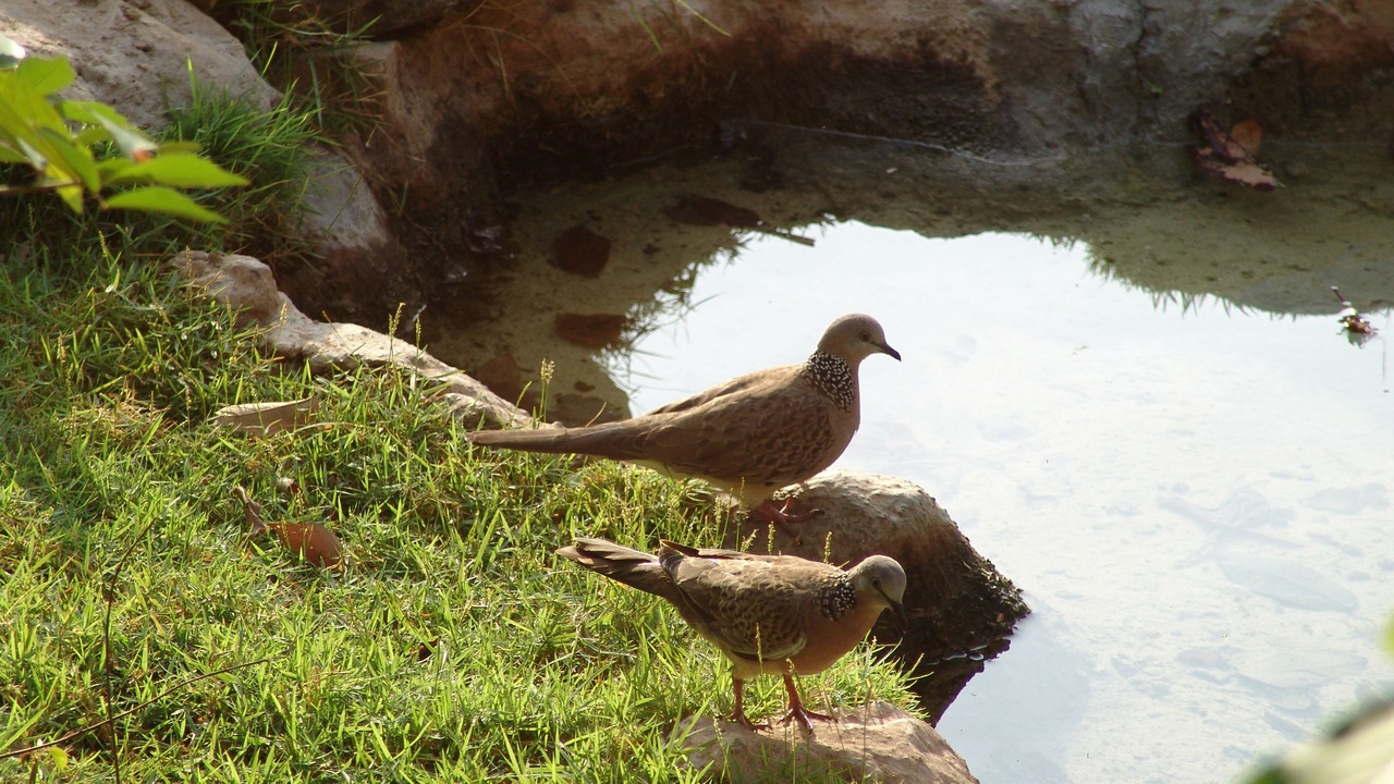 Photo of Outdoor in Pejarakan