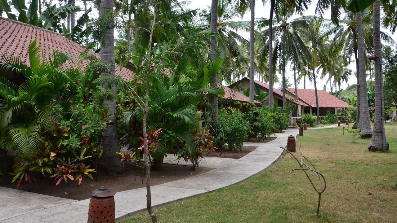 Photo of Patio Balcony in Sekotong Barat