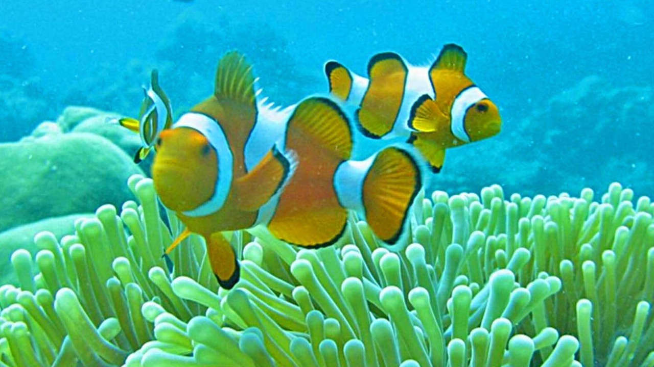 Photo of Outdoor in Koh Wai