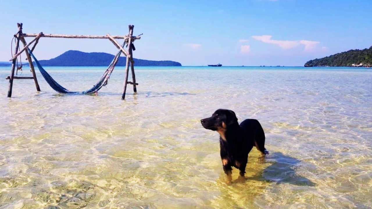 Photo of Others in Koh Rong Sanloem