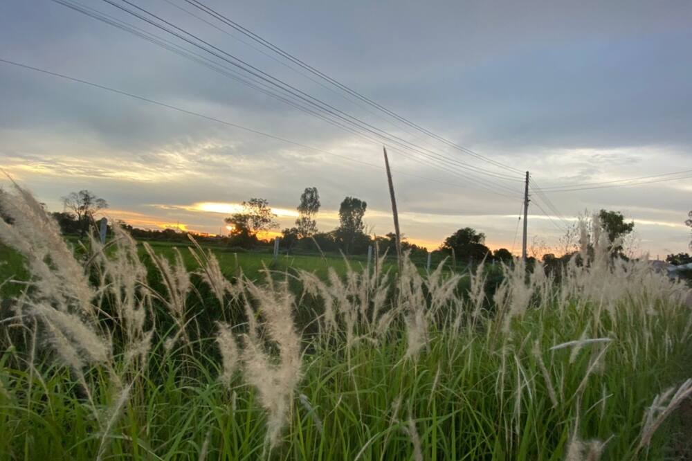 Photo of Outdoor in Udon Thani