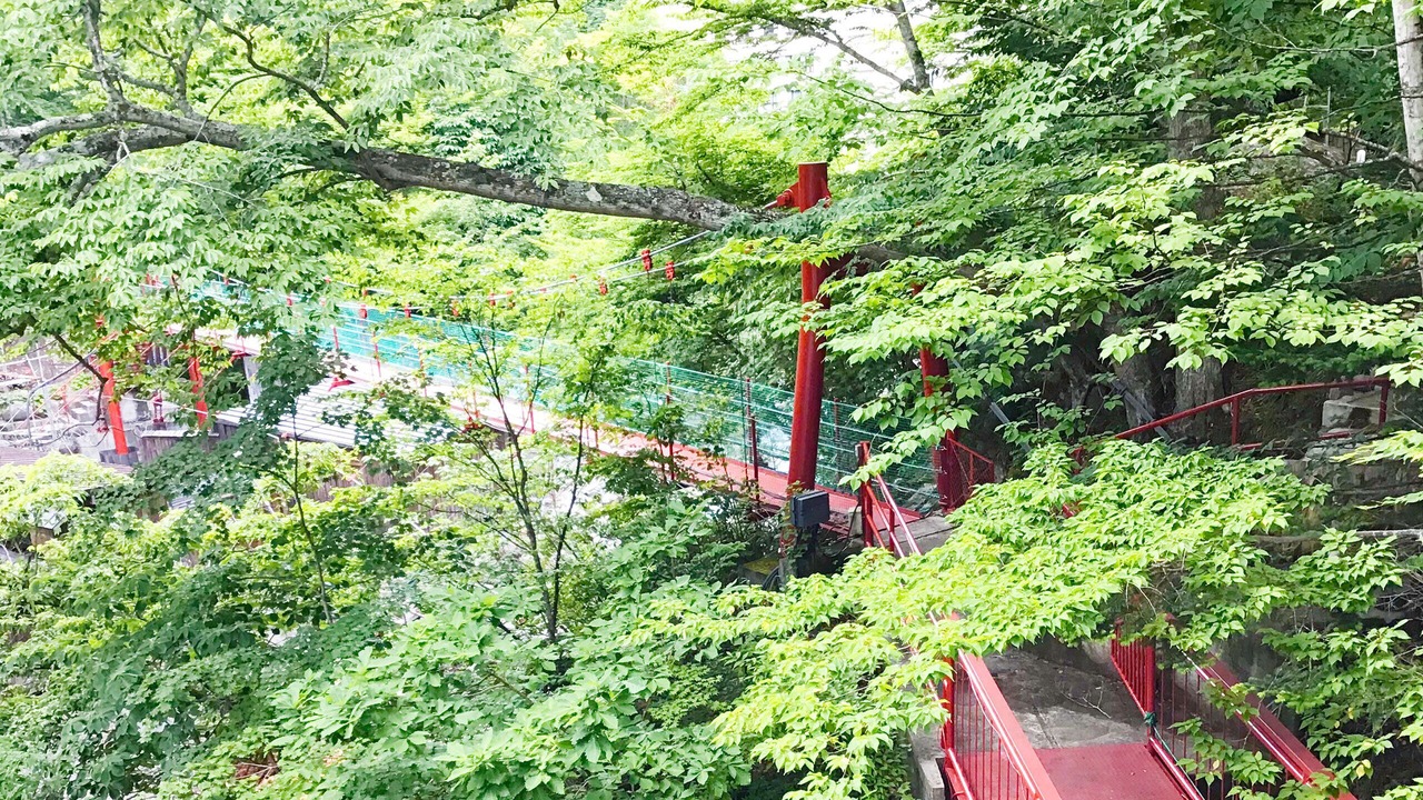 Photo of Outdoor in Nikko