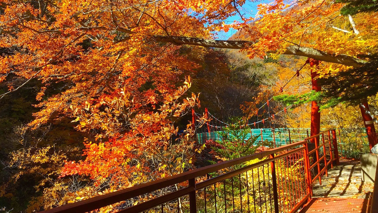 Photo of Outdoor in Nikko