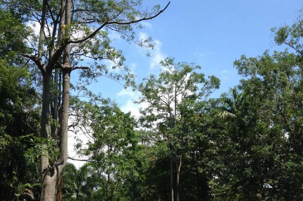 Photo of Outdoor in Kram