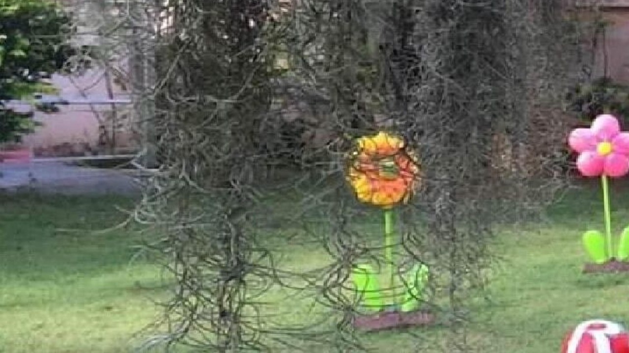 Photo of Outdoor in Ban Chang