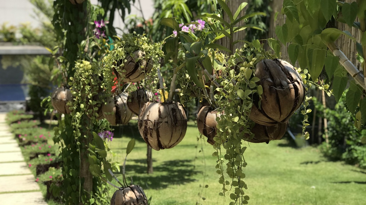 Photo of Outdoor in Svay Pao
