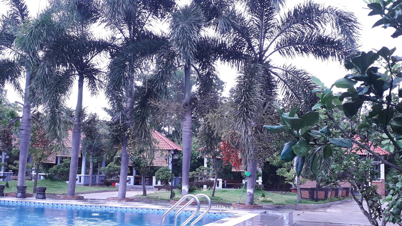 Photo of Outdoor in Xuyen Moc