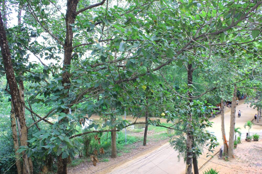 Photo of Outdoor in Siem Reap