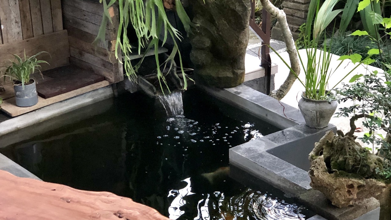 Photo of Outdoor in Ubud City-Centre