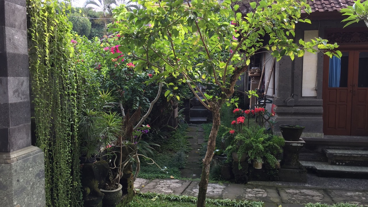 Photo of Outdoor in Ubud City-Centre