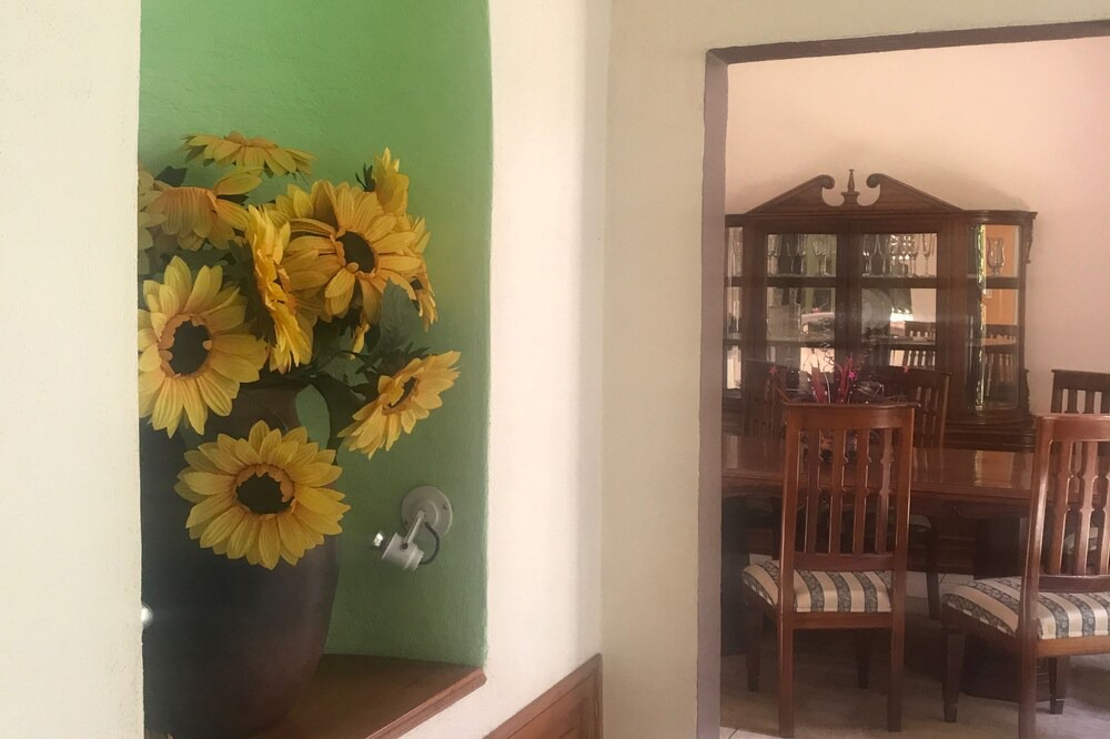 Photo of Others in Patzcuaro