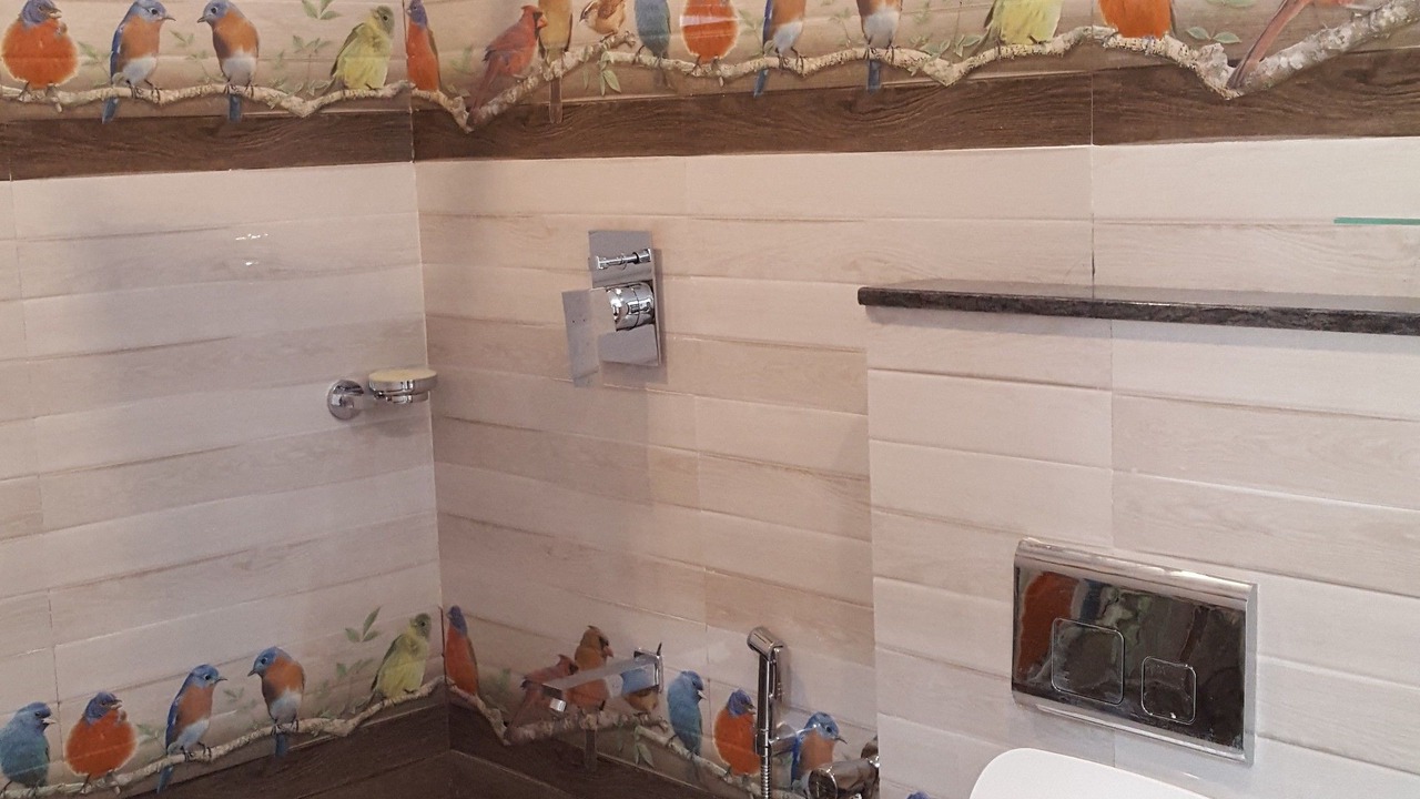 Photo of Bathroom in Devikolam