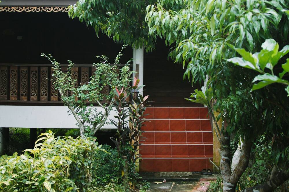 Photo of Outdoor in Suan Luang