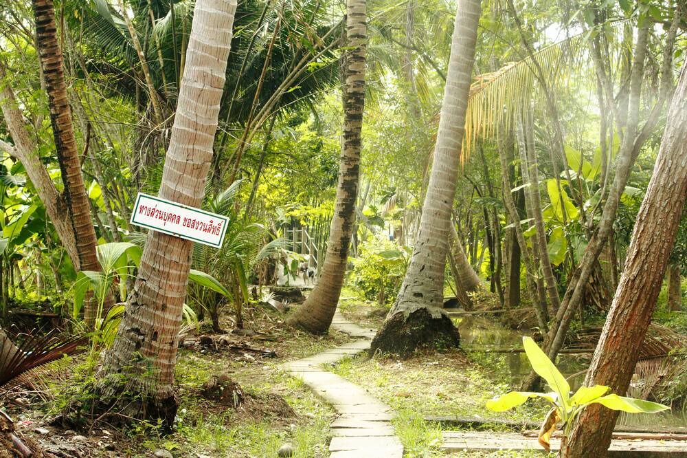 Photo of Outdoor in Suan Luang