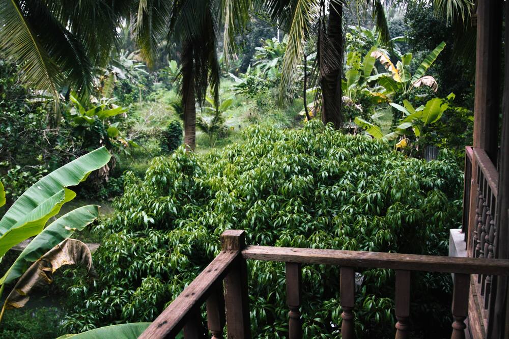 Photo of Patio Balcony in Suan Luang