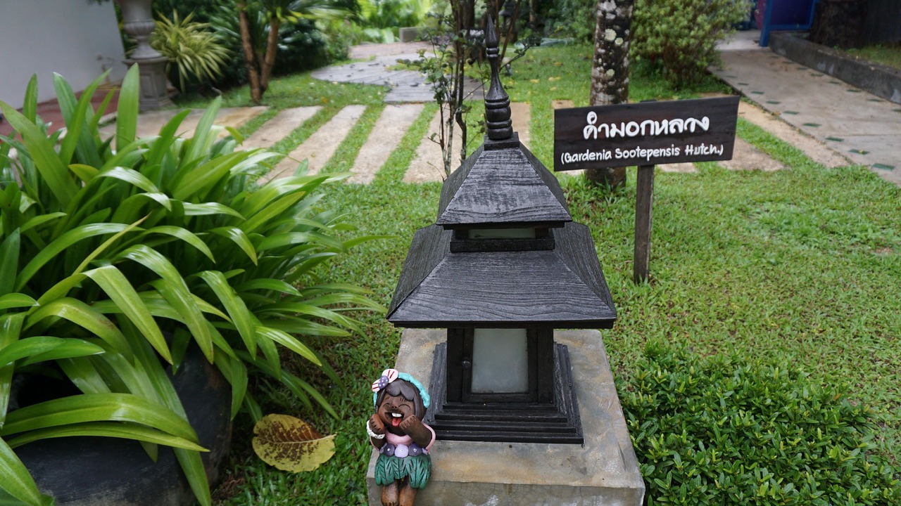 Photo of Outdoor in Mae Chan