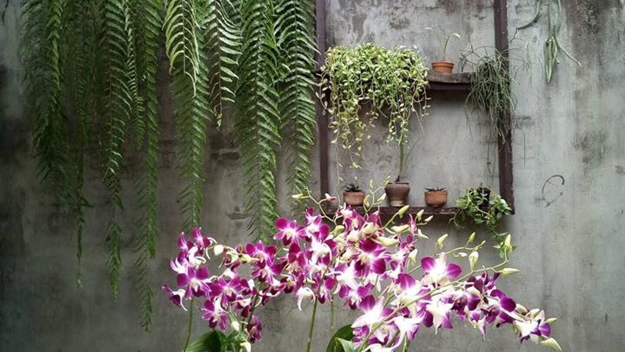 Photo of Others in Chang Moi