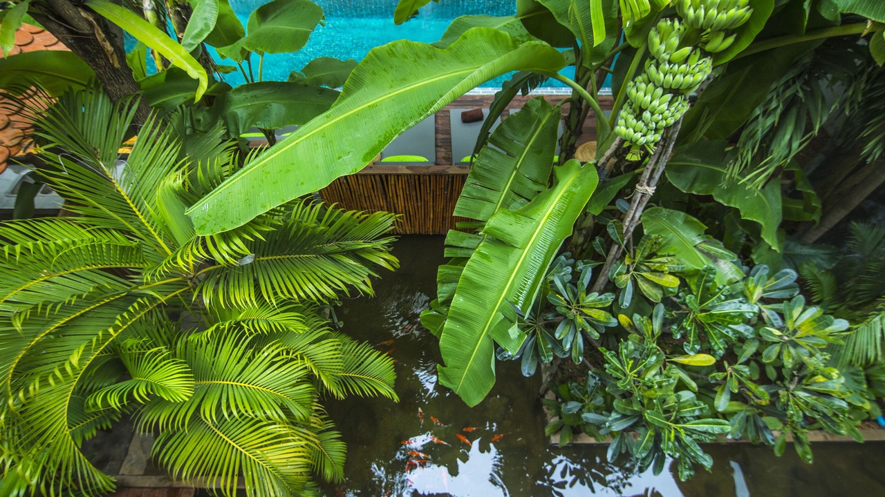 Photo of Outdoor in Sen Sok