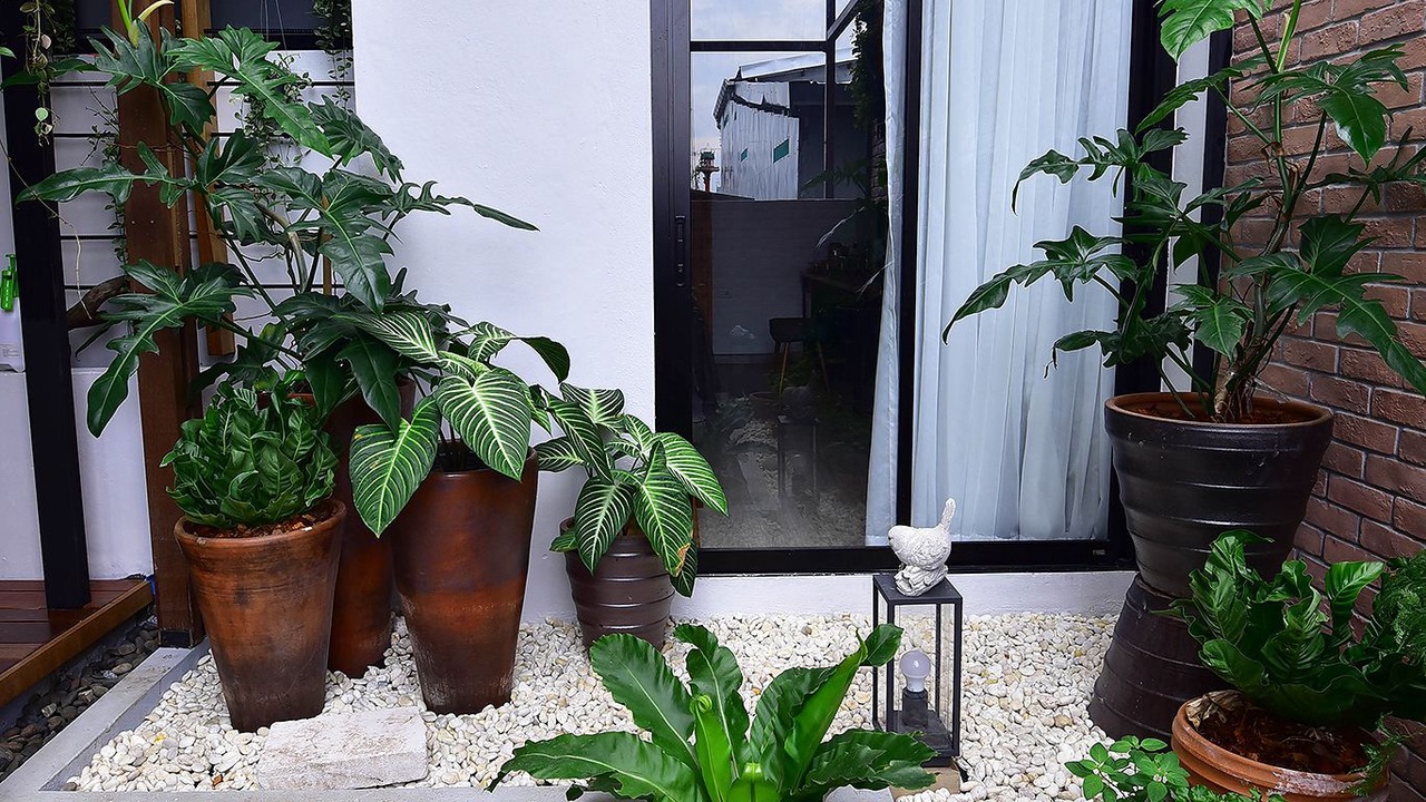 Photo of Outdoor in Downtown Krabi