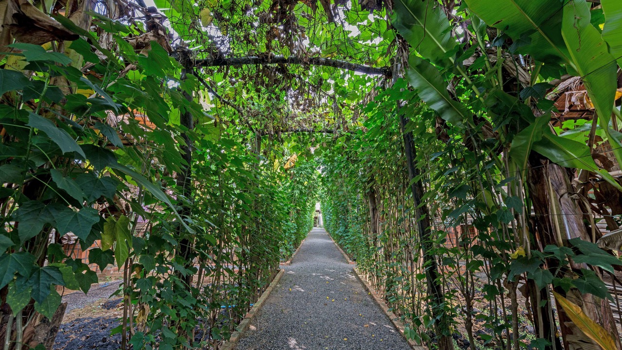 Photo of Outdoor in Aek Phnum