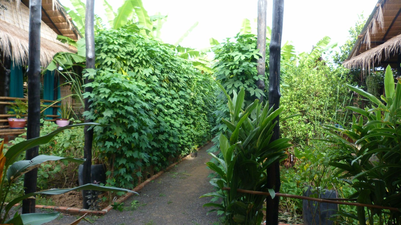 Photo of Outdoor in Aek Phnum