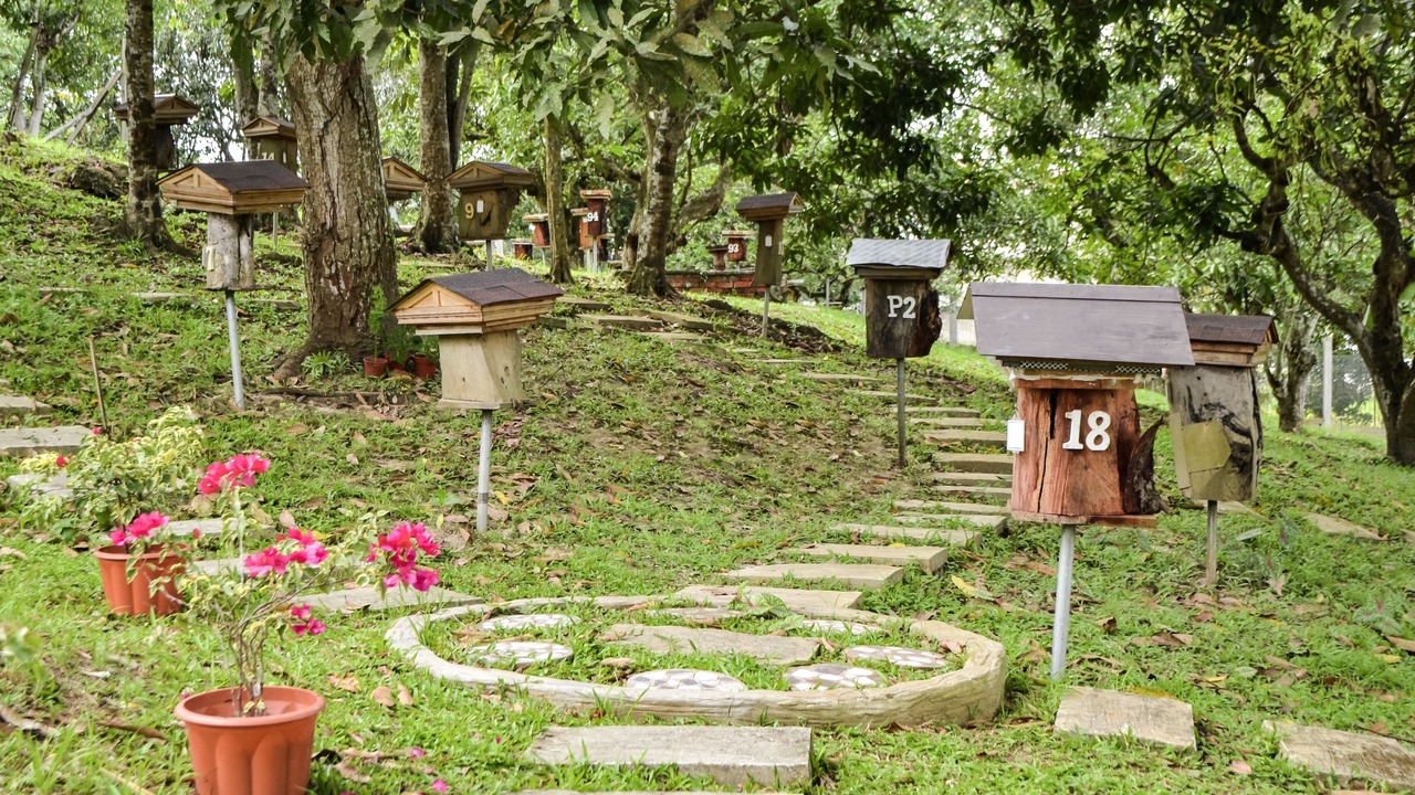 Photo of Outdoor in Telipok