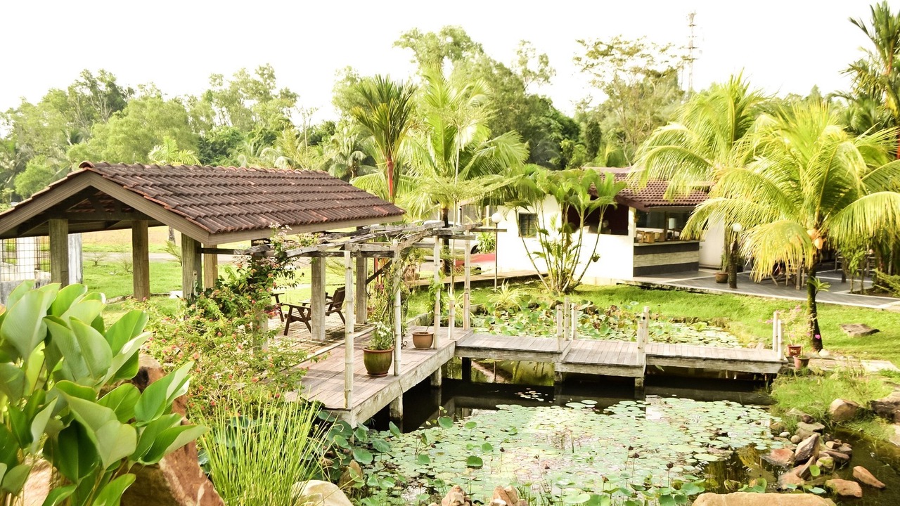 Photo of Outdoor in Telipok