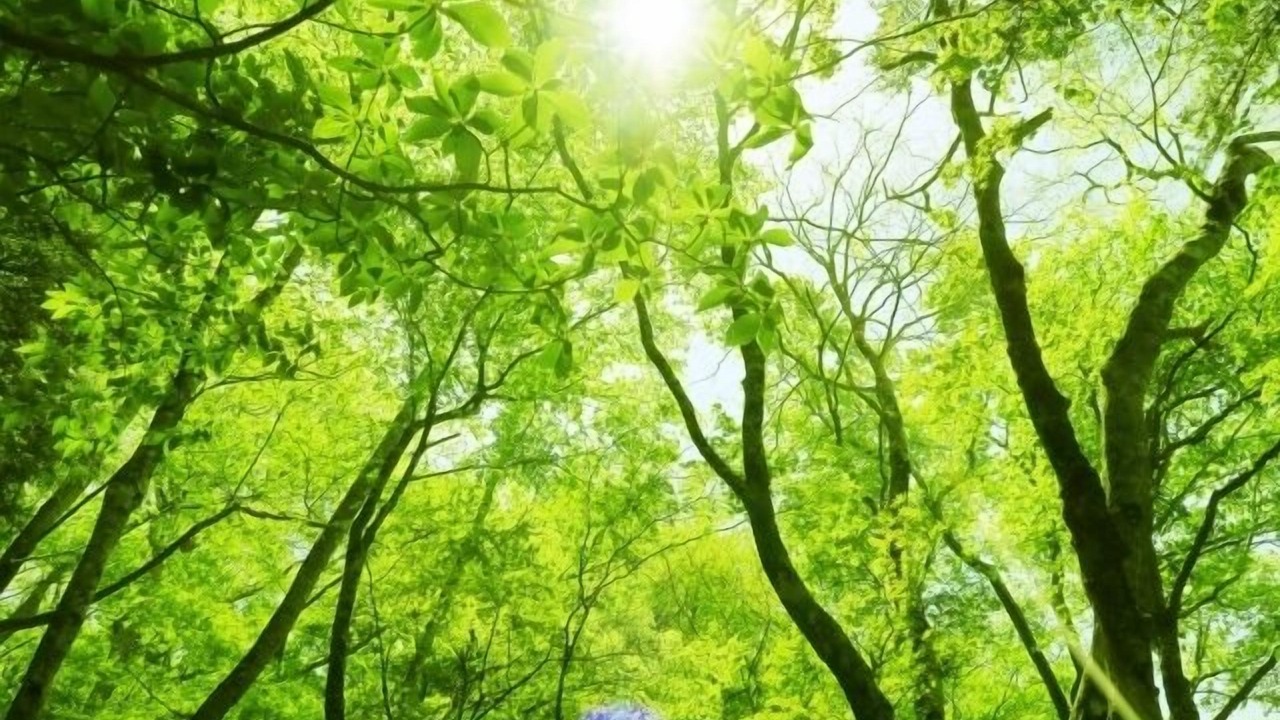Photo of Outdoor in Yumoto