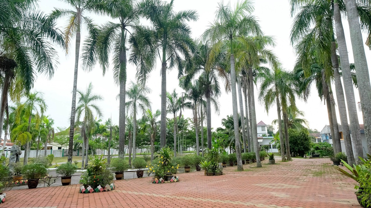 Photo of Outdoor in Temerloh