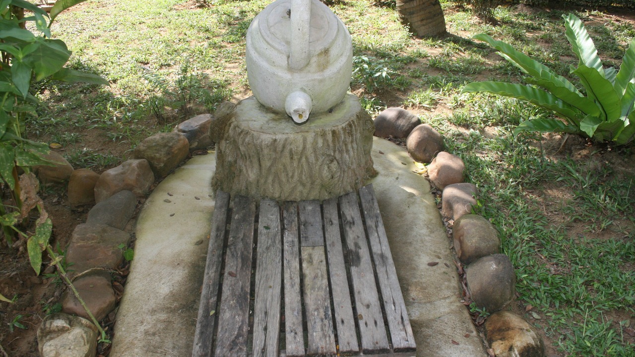 Photo of Outdoor in Kuala Tahan