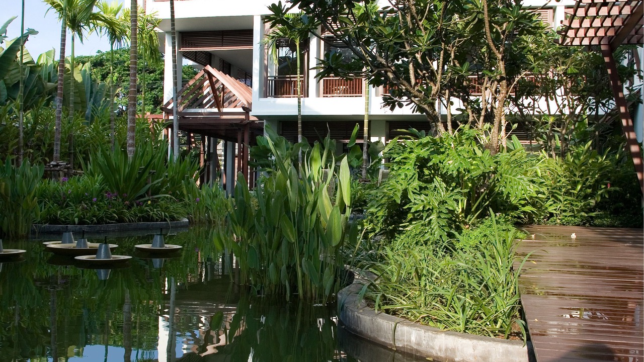 Photo of Outdoor in Chiang Mai