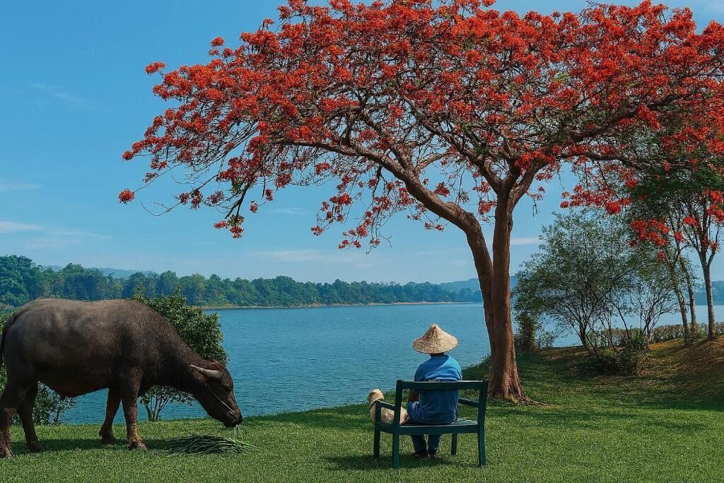 Photo of Others in Luang Prabang